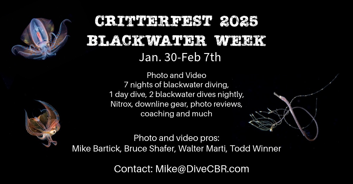 Blackwater2 16 24