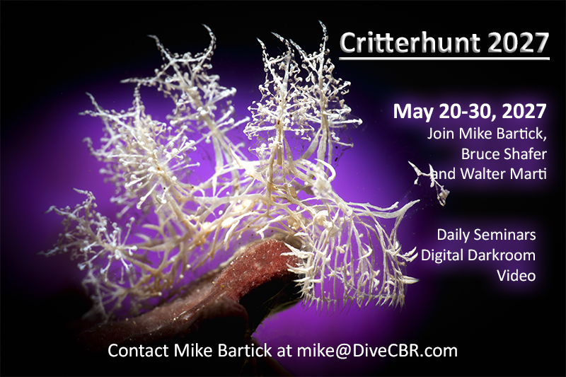 Critterhunt2024